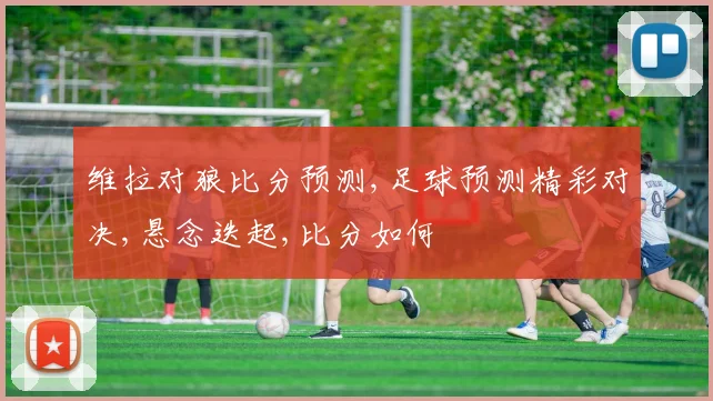维拉对狼比分预测,足球预测精彩对决,悬念迭起,比分如何