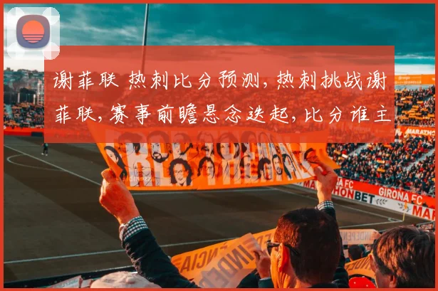 谢菲联 热刺比分预测,热刺挑战谢菲联,赛事前瞻悬念迭起,比分谁主沉浮